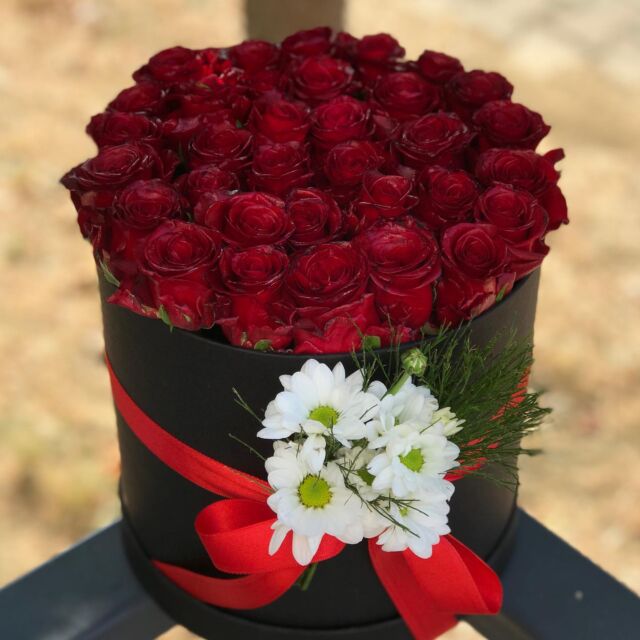 Instagram gönderisi 17914584070185707